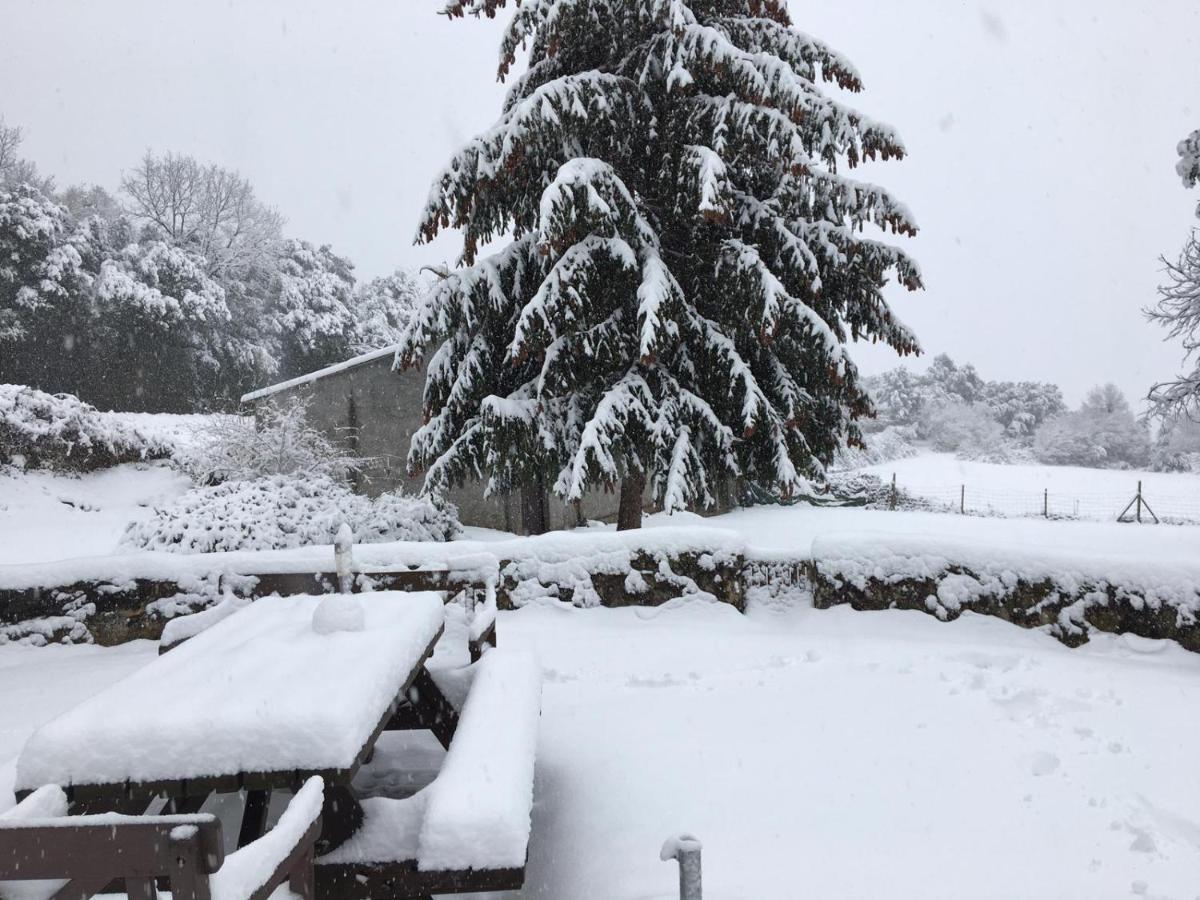 Can Janot Villa Olot Esterno foto