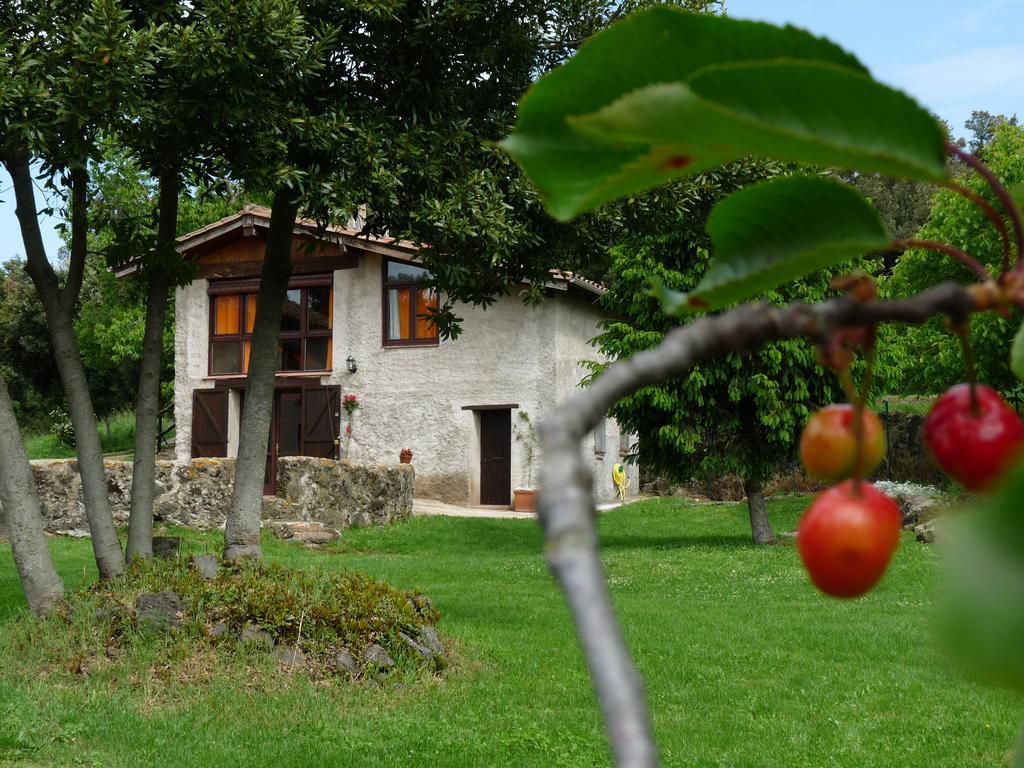 Can Janot Villa Olot Esterno foto